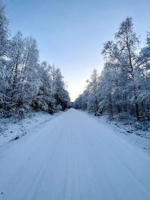 Lapland Sunrise Cottage With Lakefront Sauna ロヴァニエミ エクステリア 写真
